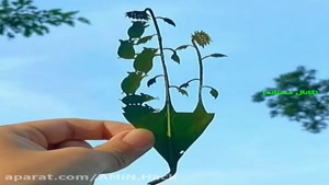 کلیپ هنری و خلاقانه اشکال زیبا با برگ گیاهان