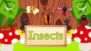 Science - Insects