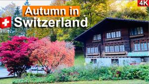 مستند پاییز در سوئیس