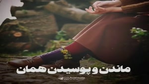 کلیپ احساسی برای استوری / آهنگ عاشقانه زیبا