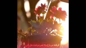 کلیپ تولد امام حسن عسکری برای وضعیت واتساپ