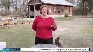 آموزش پرورش مرغ محلی-آموزش تخصصی پرورش طیور- مراقبت از جوجه