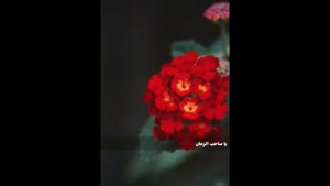  کلیپ امام زمان برای استوری / کلیپ امام زمان برای واتساپ