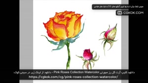 دانلود کلیپ آرت گل رز صورتی Pink Roses Collection Watercolor