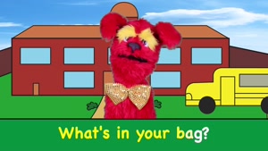 what is in your bag