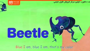 معرفی انواع حشرات به کودکان همراه با شعر انگلیسی 