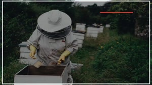 آموزش تغذیه و نگهداری کاملا اصولی زنبور عسل در زمستان