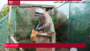 آشنایی با رفع بیماری های مربوط به کندو زنبور عسل 