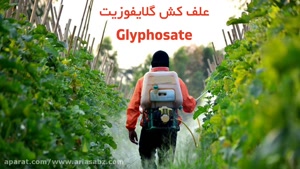 علف کش پس رویشی گلایفوزیت | Glyphosate