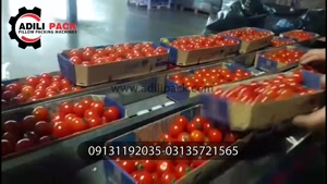 دستگاه بسته بندی گوجه ساخت عدیلی