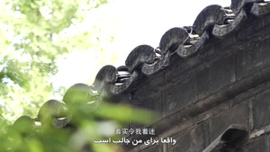 ایرانیان مقیم چین (4) ؛ شهری شبیه اصفهان