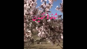 کلیپ بهاری/ کلیپ عید نوروز / کلیپ سال 1400 / کلیپ تبریک عید 