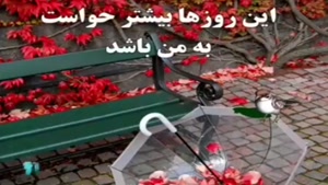 کلیپ عاشقانه خدا / کلیپ خدا برای وضعیت واتساپ