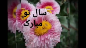 کلیپ تبریک عید نوروز ۱۴۰۰ / بهار بهار اومده 