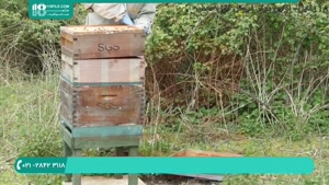 آموزش سیر تا پیاز زنبورداری، ساخت کندو زنبور عسل در 118 فایل