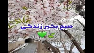 صبح زیباتون بخیر