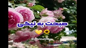 صبح بخیر عزیزم