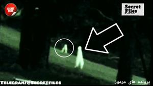 ویدیوهای واقعی از شبگردها موجوداتی وحشتناک (شکار دوربین ۵۳)