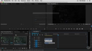 آموزش تکنیک های Premiere Pro CC