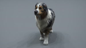 آموزش مدلسازی سگ با XGen