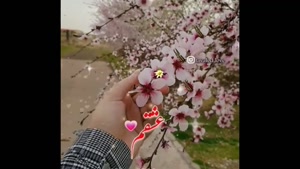 کلیپ عاشقانه برای عشقم/دانلود کلیپ عاشقانه/کلیپ عشقولانه