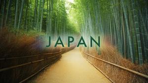 سفر جذاب و دیدنی به ژاپن