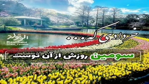 کلیپ متولدین سوم خرداد برای استوری