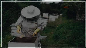 آموزش جامع زنبور داری -  آپدیت دسته با تکان دادن 