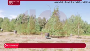 سرمایه ی ابتدایی برای پرورش زنبور عسل 