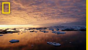 مستند کوتاه نابودی قطب جنوب