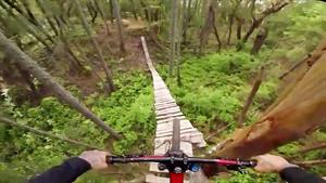 دوچرخه سواری حیرت انگیز در جنگل