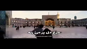 کلیپ ولادت امام رضا برای اینستا