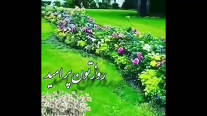 کلیپ صبح بخری زیبا / کلیپ صبح بخیر شاد