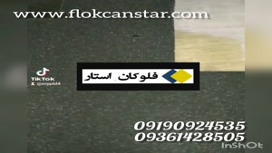 دستگاه مخمل پاش حرفه ای قیمت مناسب 09190924535