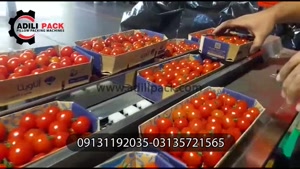 دستگاه بسته بندی گوجه گیلاسی