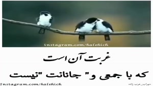 کلیپ تنهایی و غم غربت