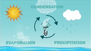 water cycle song