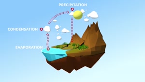what is a water cycle 