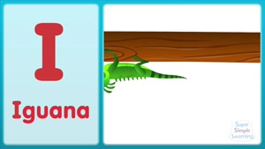 i is for iguana