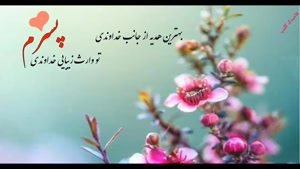 کلیپ جذاب برای تولد پسرم