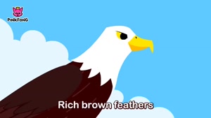 powerful bald eagle