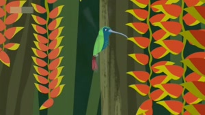 انیمیشن آموزش زبان انگلیسی Wild Kratts قسمت 50