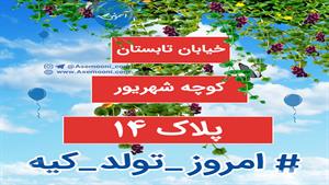 کلیپ تولد 14 شهریور برای استوری