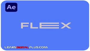 اسکریپت Flex