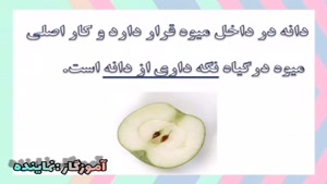 فصل نهم علوم