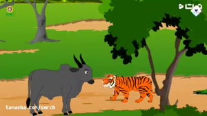 قصه شب برای کودکان - سه گاو و یک یوزپلنگ 