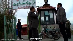  تلف شدن یک قلاده شیر در قزوین