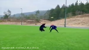 ویدیو بامزه از والیبال بازی کردن سگ با صاحبش
