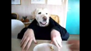 کلیپ طنز از غذا خوردن سگ با صاحبش