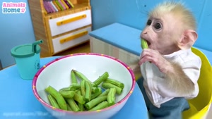 کلیپ باحال / آشپزی کردن بچه میمون بازیگوش